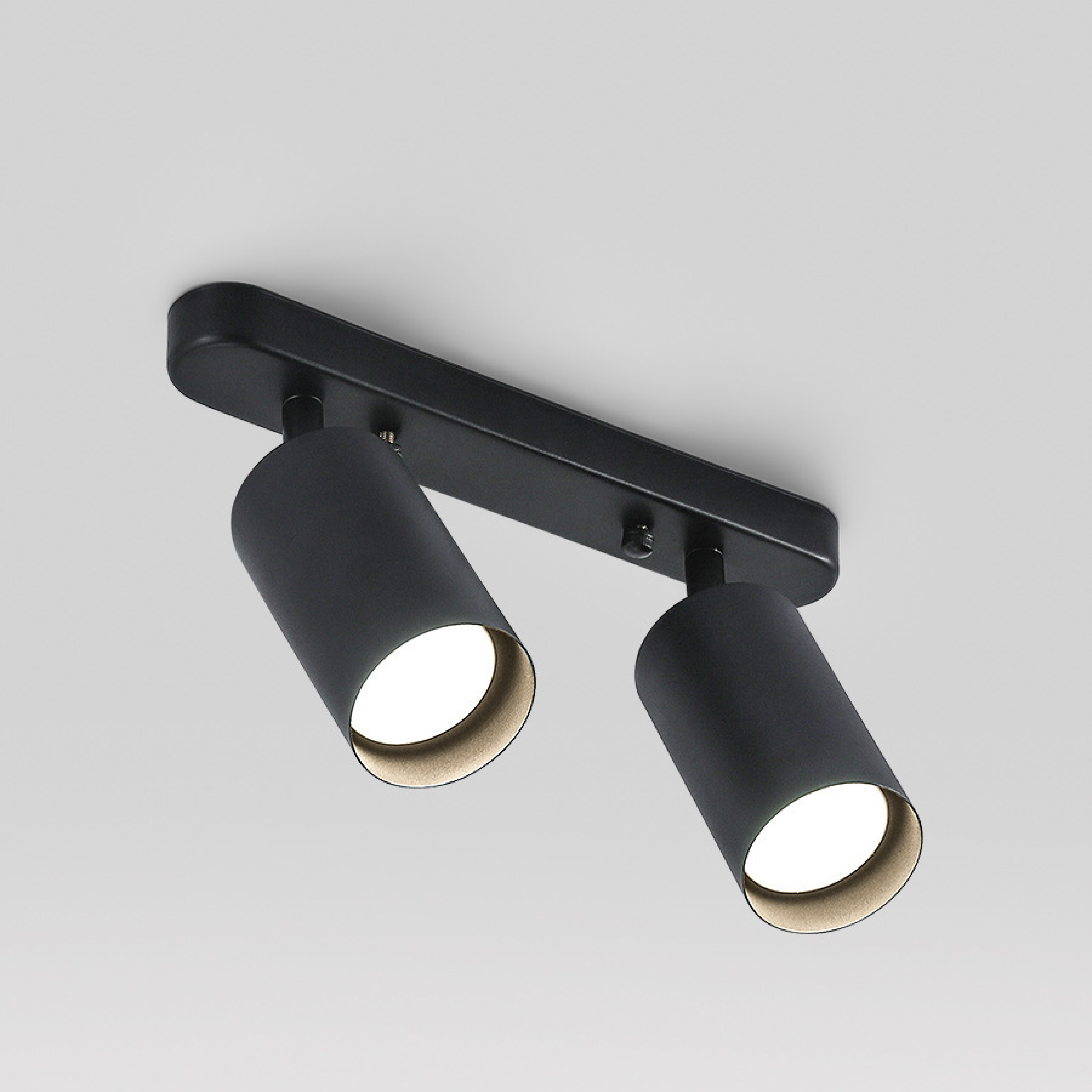 2-Head Rotating Ceiling Light