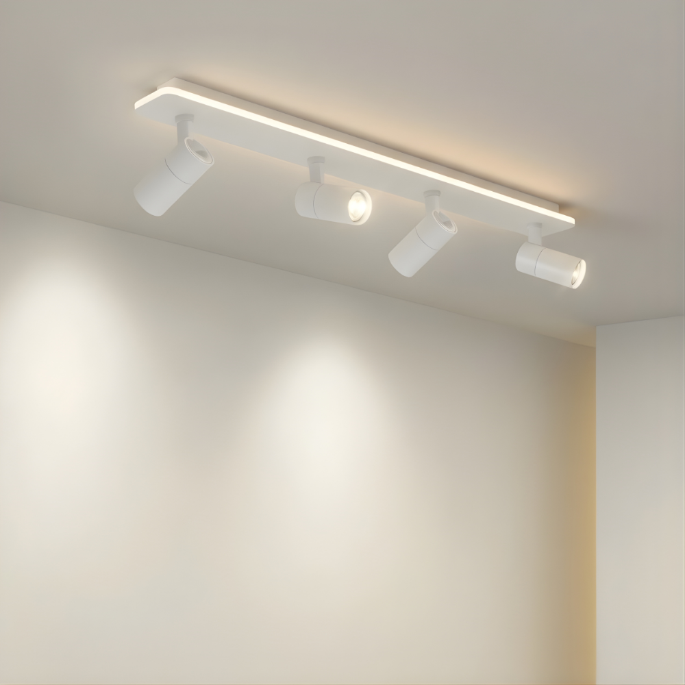 Multiple spot ceiling light