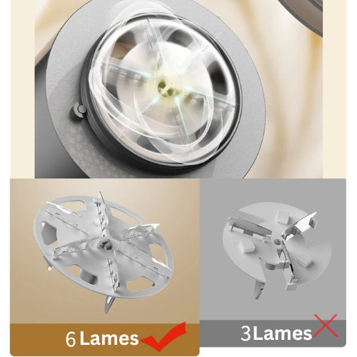 Boulanger rasoir anti bouloche pour une solution écologique travel bottle lea