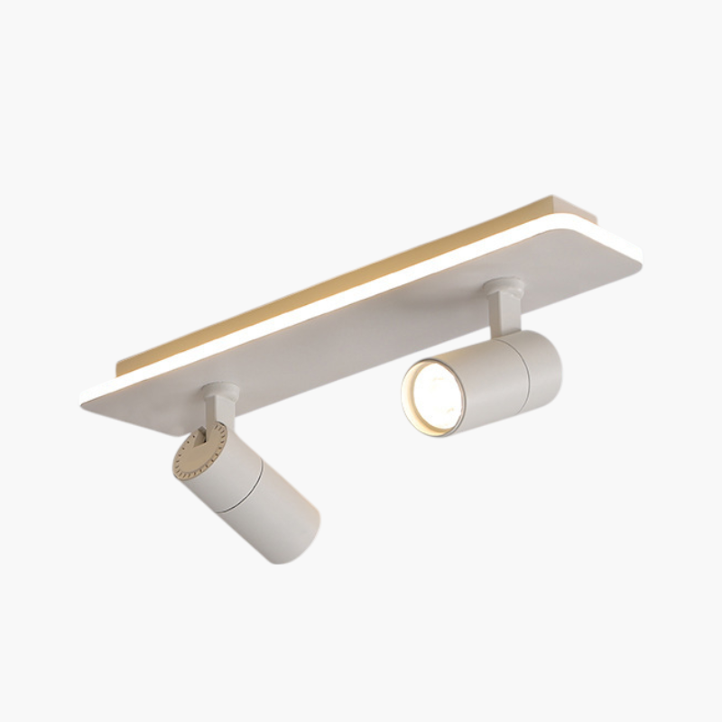 Multiple spot ceiling light