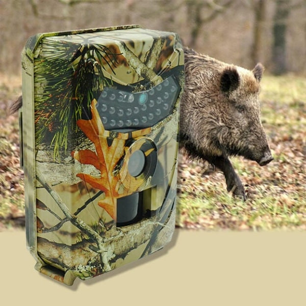 Caméra de chasse HD - Couleur standard pour une surveillance fiable travel bo
