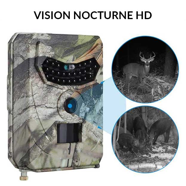 Caméra de chasse HD avec détecteur de mouvement - Idéale pour la surveillance discrète