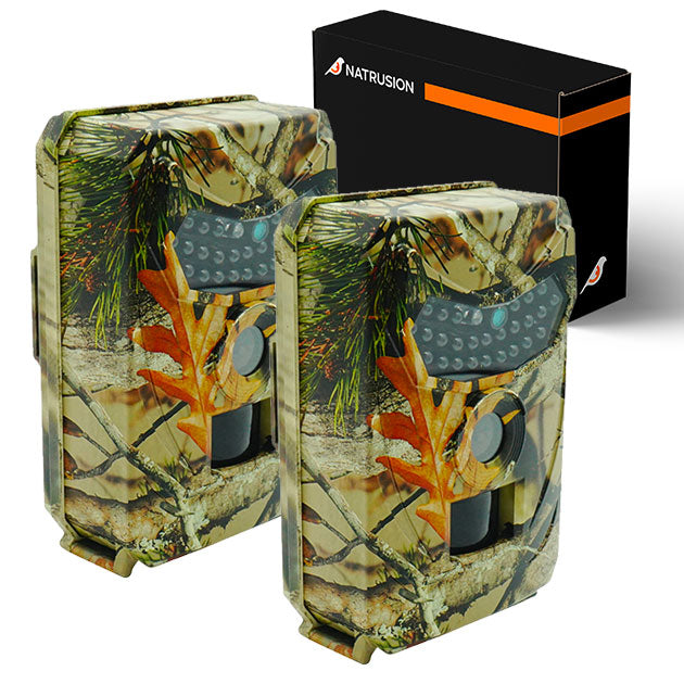 Caméra de chasse HD avec détecteur de mouvement et vision nocturne - caméras, observation faune