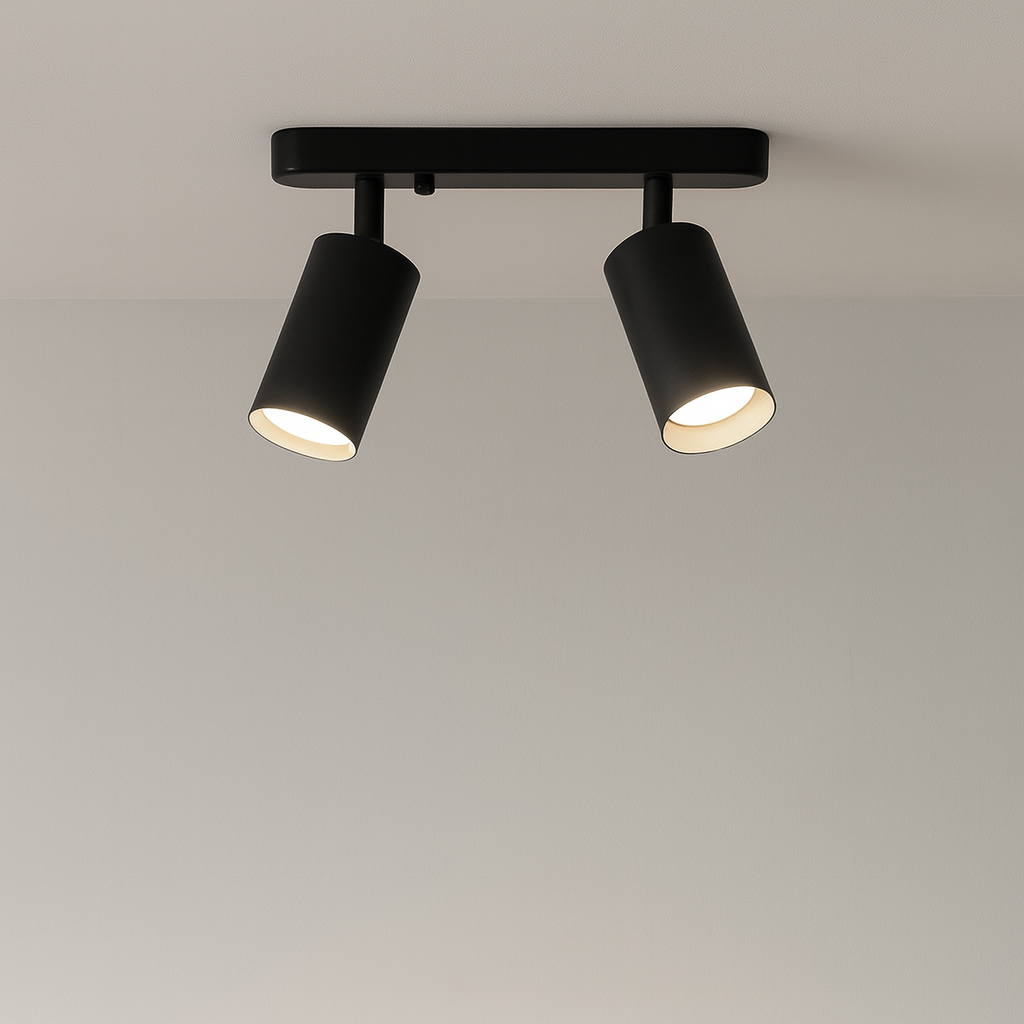 2-Head Rotating Ceiling Light
