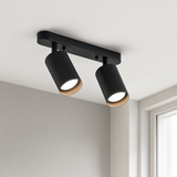 2-Head Rotating Ceiling Light
