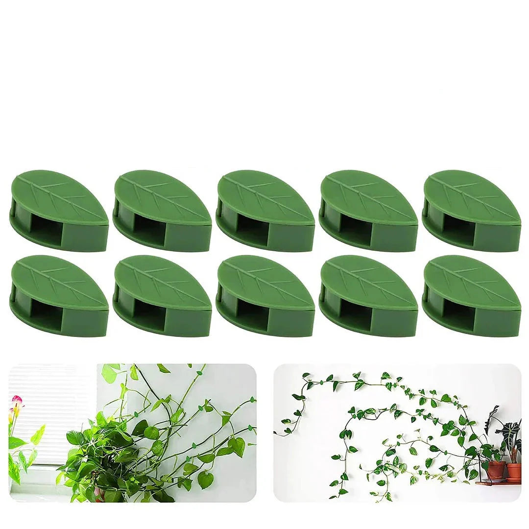 Fixateurs de Plantes Clips - Support Plantes Réutilisable travel bottle leak-