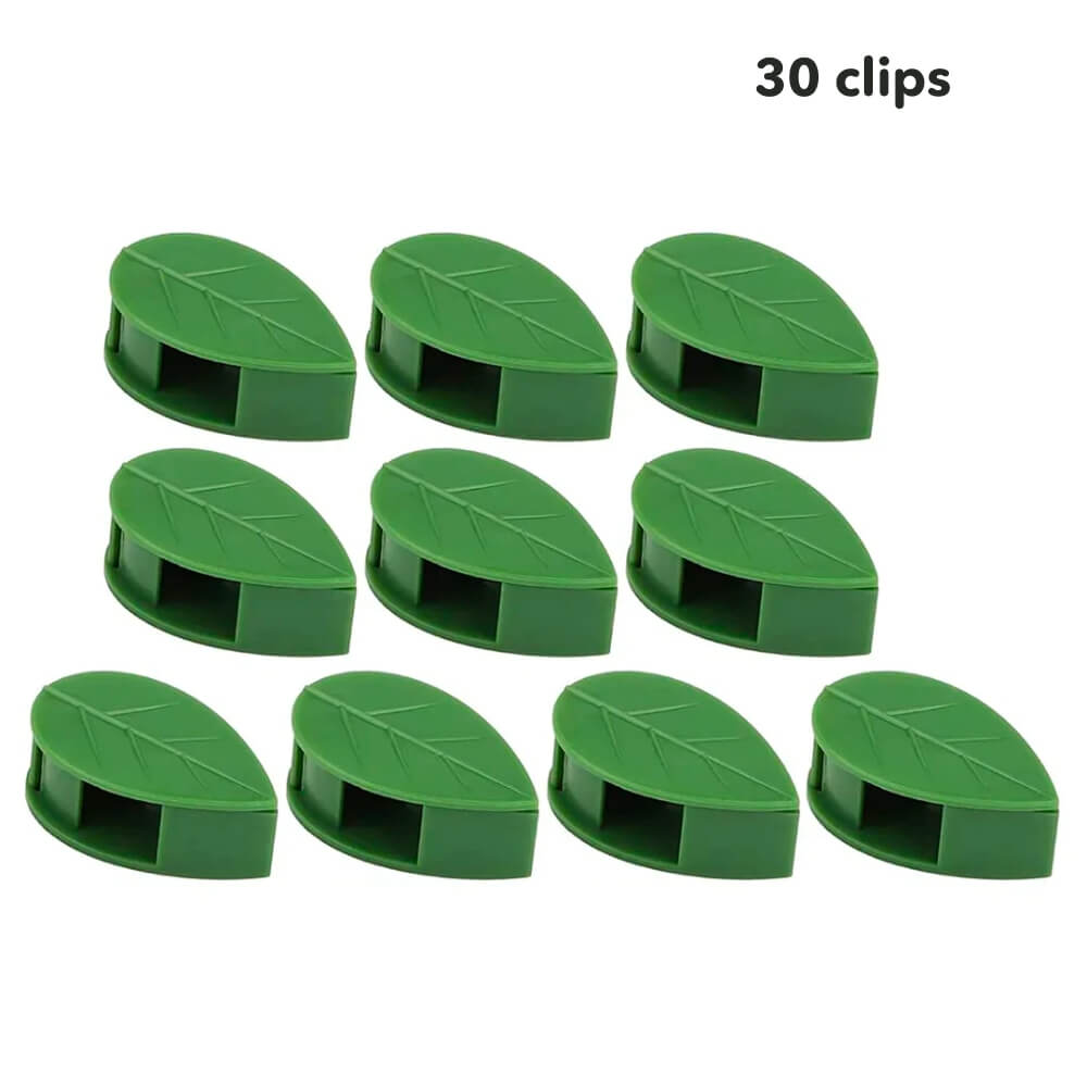 Fixateurs de Plantes Clips - Installation Facile pour Jardinage Intérieur tra