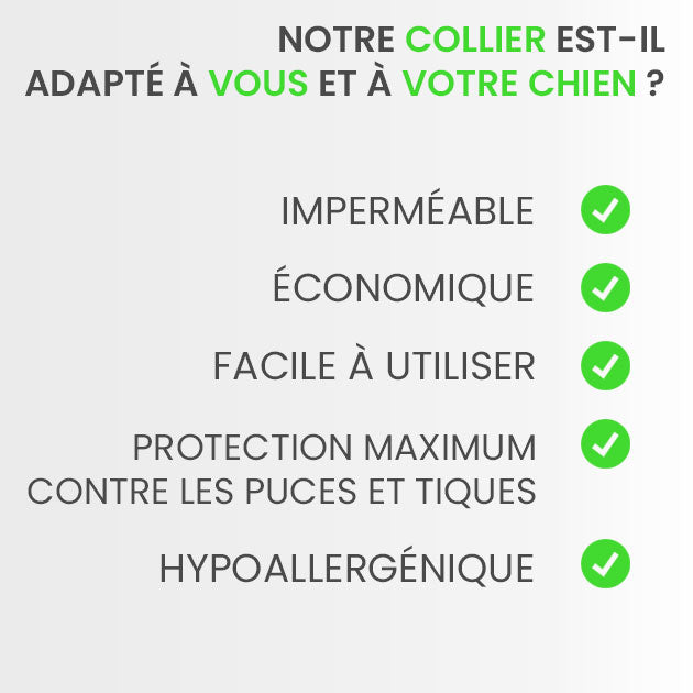 Résistant à l'eau pour une protection continue travel bottle leak-proof desig