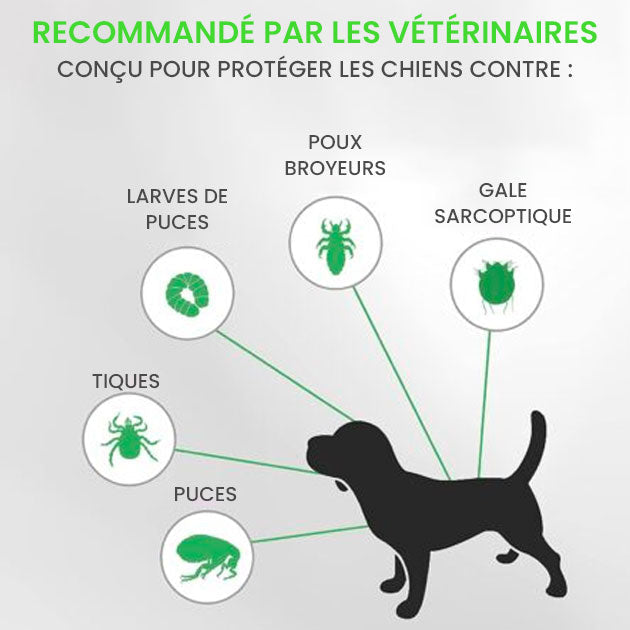 Protection naturelle et hypoallergénique pour votre chien travel bottle leak-