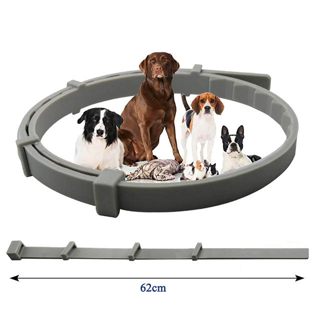 Offrez à votre chien une protection naturelle et efficace travel bottle leak-
