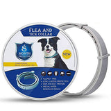 Natural flea and tick collar for dogs - 62cm adjustable and waterproof
