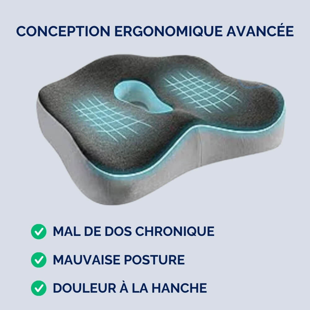 Coussin Ergonomique Assise Relaxante Confort Longue Durée Douleurs Dorsales t