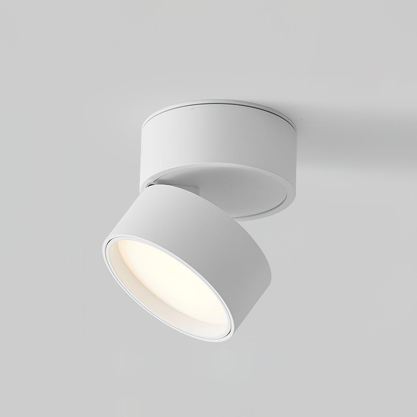 (2 packs) Surface ceiling light