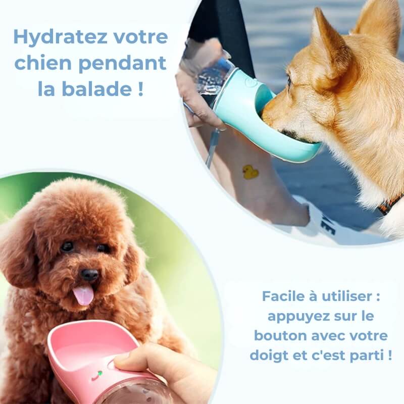 Gourde Portable pour Chien - Conception étanche pour une hydratation sécurisée en voyage