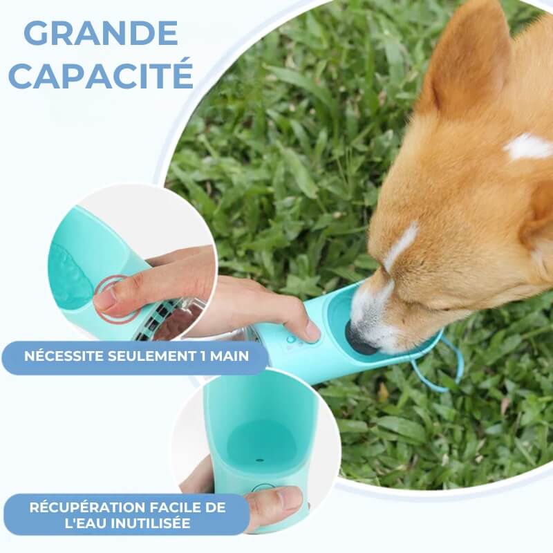 Gourde Portable pour Chien - Facile à transporter pour une hydratation portable d