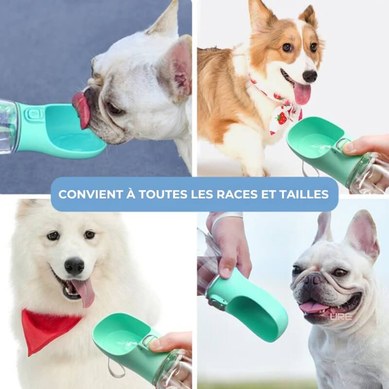 Gourde Portable pour Chien - Idéale pour une Hydratation Pratique et Rapide t