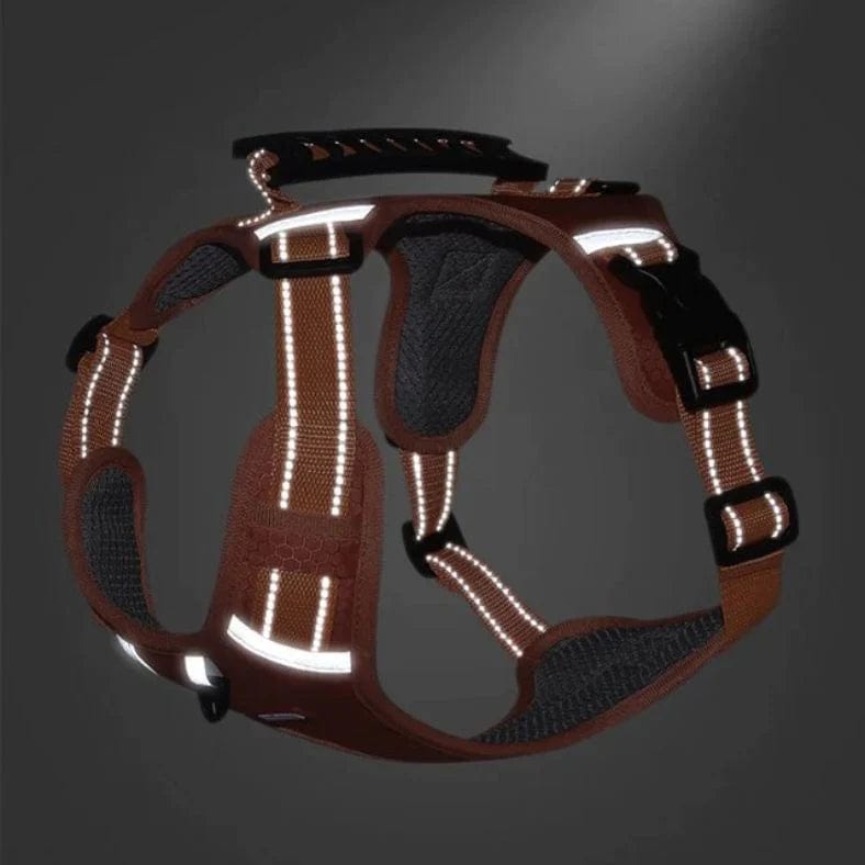 Harnais Anti Traction Réfléchissant & Confortable pour Chiens - Sécurité Nocturne