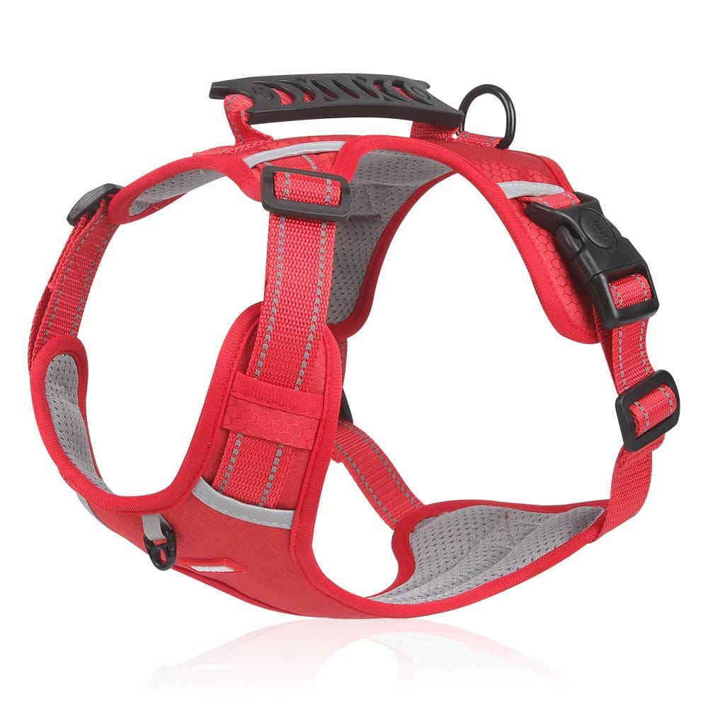 Harnais Anti Traction Réfléchissant & Confortable pour Chiens - Sécurité Nocturne