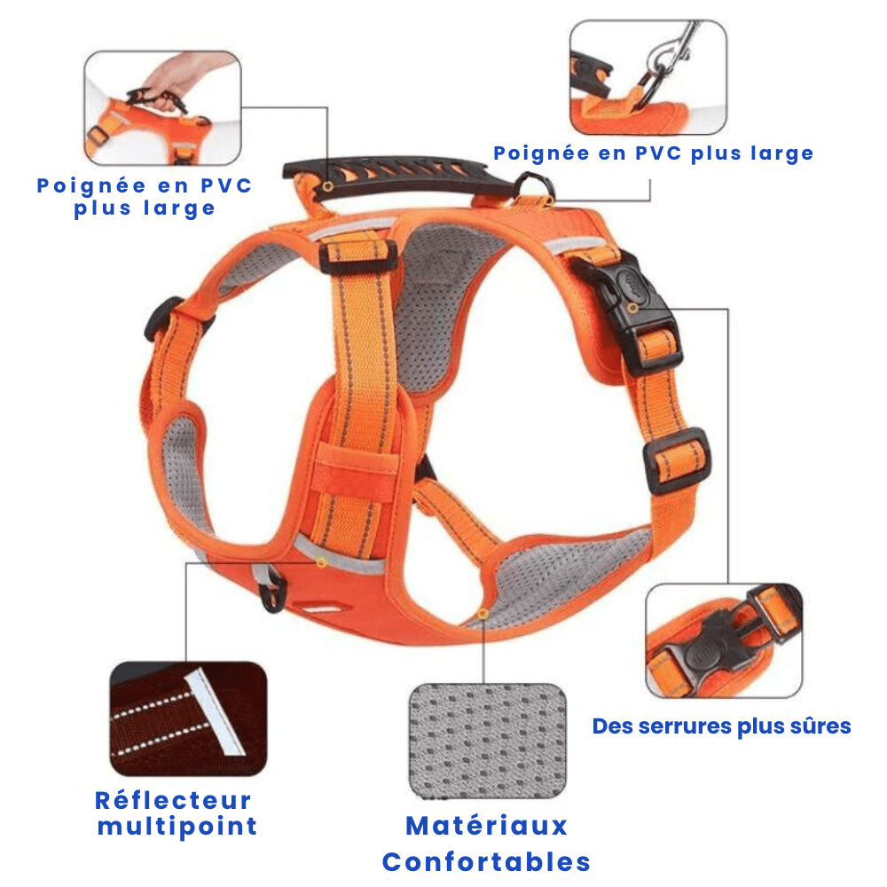 Harnais Anti Traction Réfléchissant & Confortable pour Chiens - Sécurité Nocturne