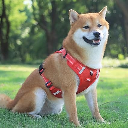 Harnais Anti Traction Réfléchissant & Confortable Rouge pour Chiens - Contrôle et Visibilité