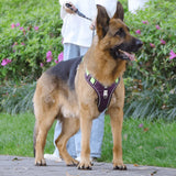 Anti-Pull Harness for Dogs