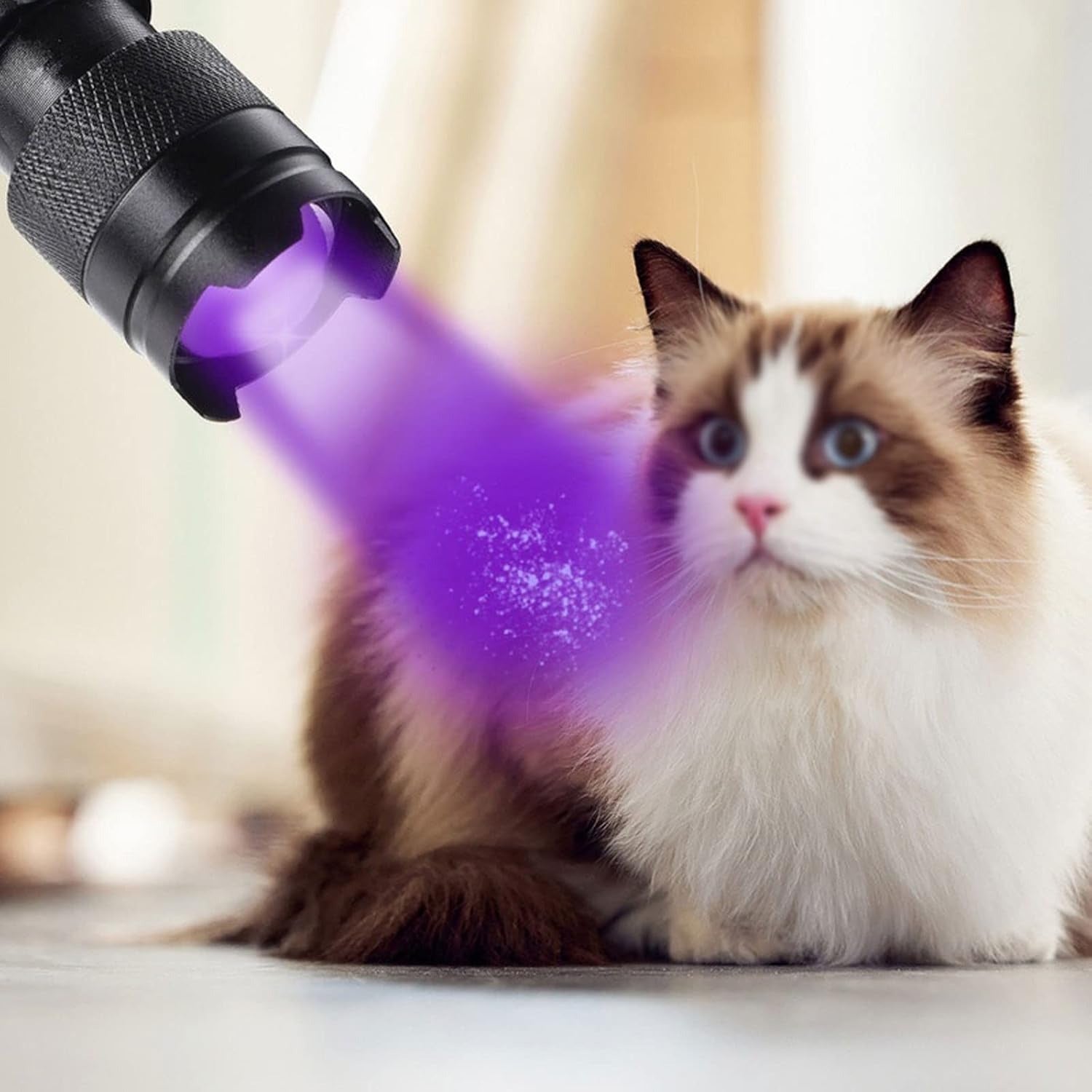 Lampe de Poche LED UV 395nm - Ultra-Violet Portable pour Détection et Inspection