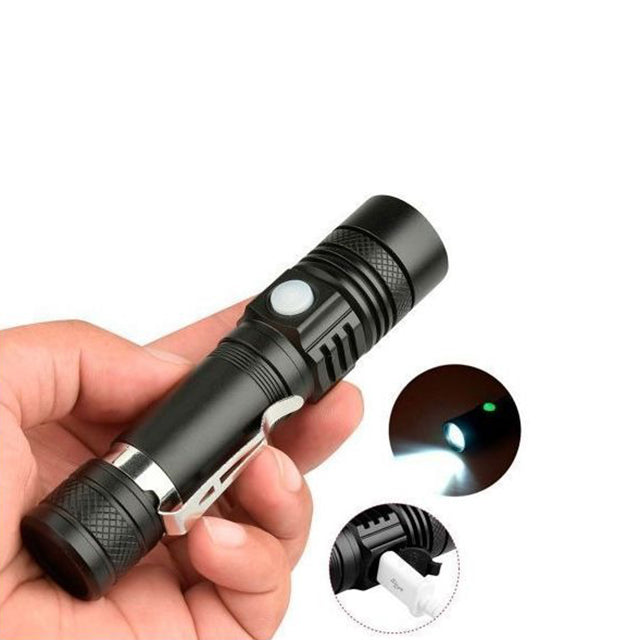 Petite lampe torche puissante avec éclairage LED pour une visibilité optimale dog