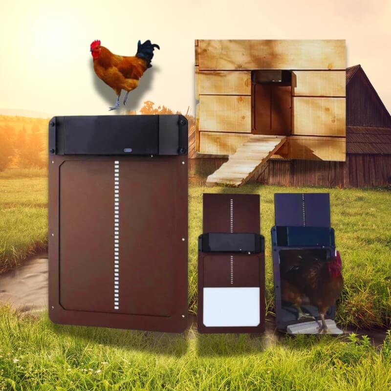 Porte Automatique de Poulailler - Sécurité & Confort des Poules avec Capteur Lumière