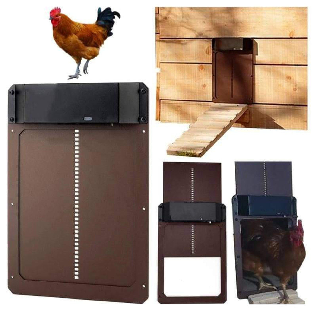 Porte de Poulailler Automatique - Ouverture Automatisée et Sécurité accrue pour élevage de poules