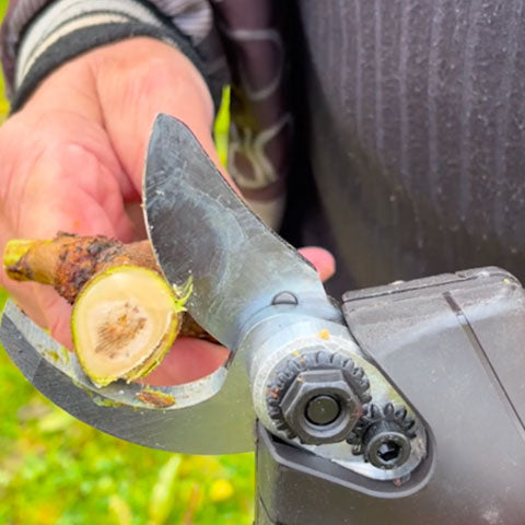 Sécateur électrique sans fil professionnel ergonomique travel bottle leak-pro