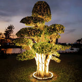 Outdoor tree spotlight