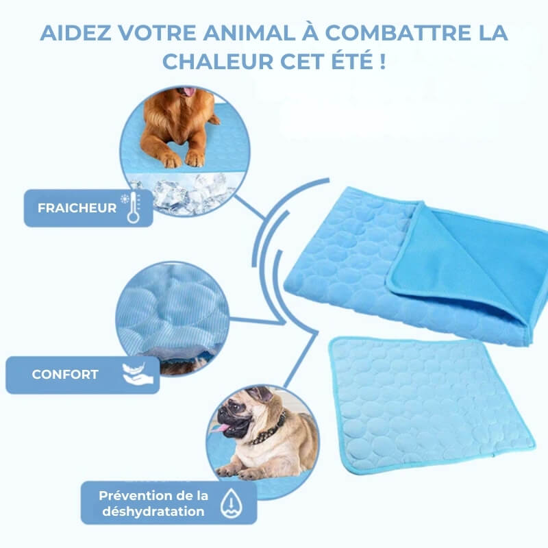 Tapis Rafraîchissant pour Chien - Confort Canin en Été Chaud | Léger et Portable