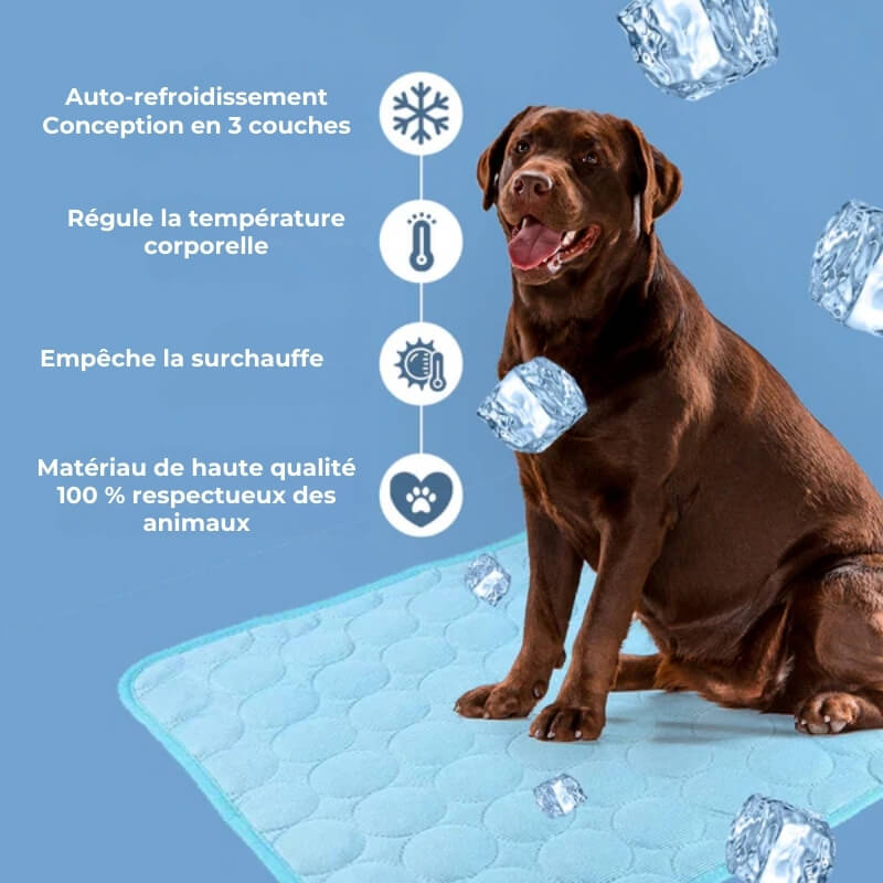 Tapis Rafraîchissant pour Chien - Confort Canin en Été Chaud | Léger et Portable