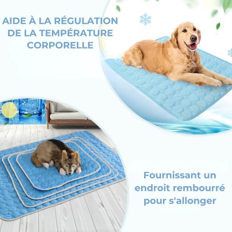 Tapis Rafraîchissant pour Chien - Confort Canin en Été Chaud | Léger et Portable